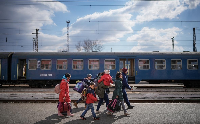 Ирландия запланировала отмену льгот для украинских беженцев до конца