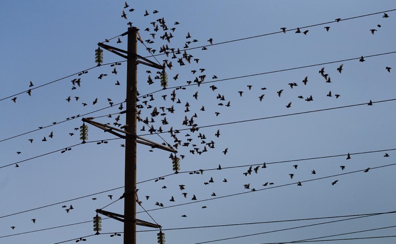 Из-за аварии на ГРЭС без света в Бурятии остались более 115 тыс