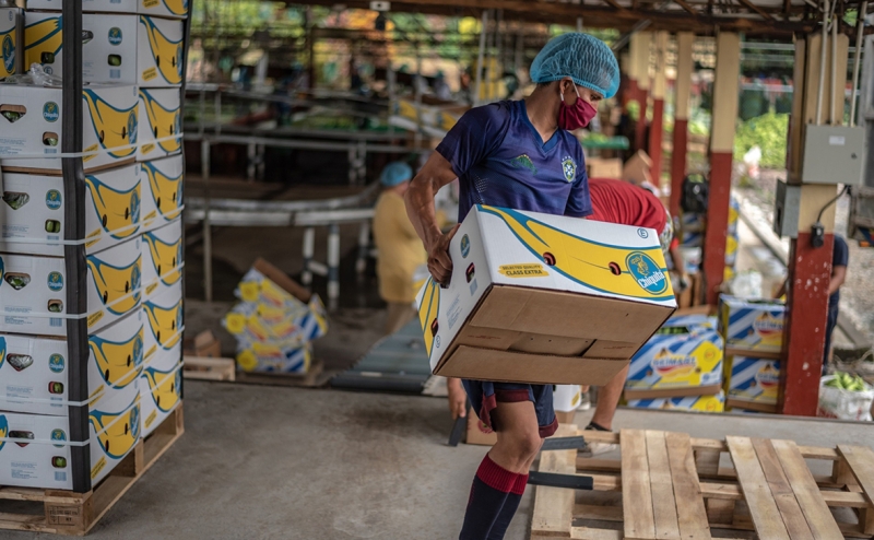 «Известия» узнали, что бананы могут признать социально значимым