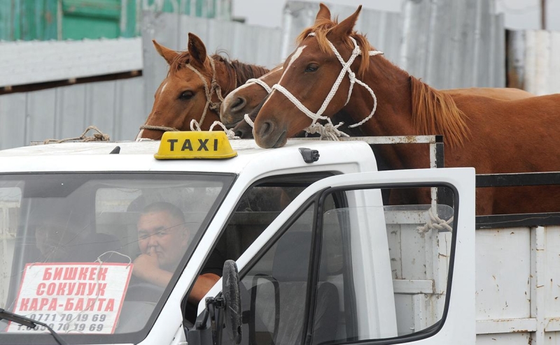 &laquo;Яндекс Такси&raquo; ответил на претензии властей Киргизии из-за налогов