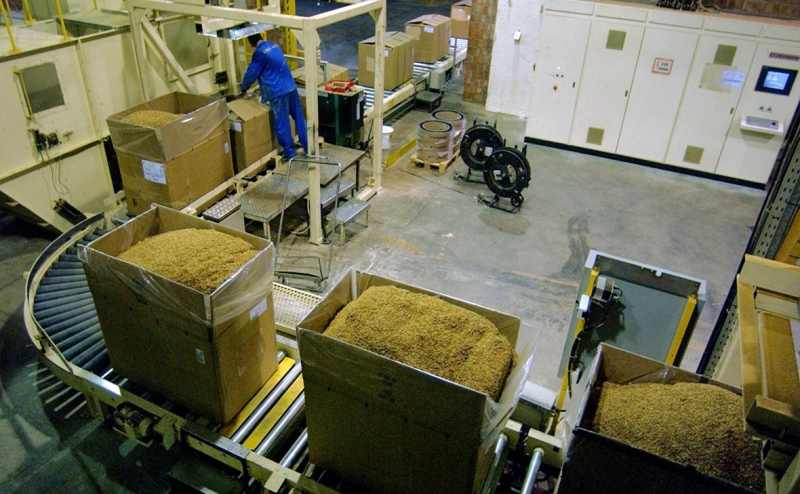 Japan Tobacco объяснила сохранение бизнеса в России