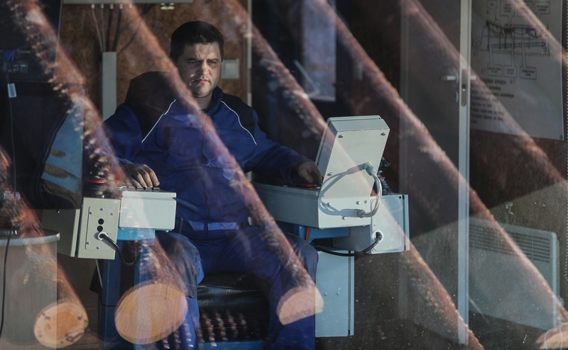 Японцы приобретут лесную компанию на Дальнем Востоке за $525 млн