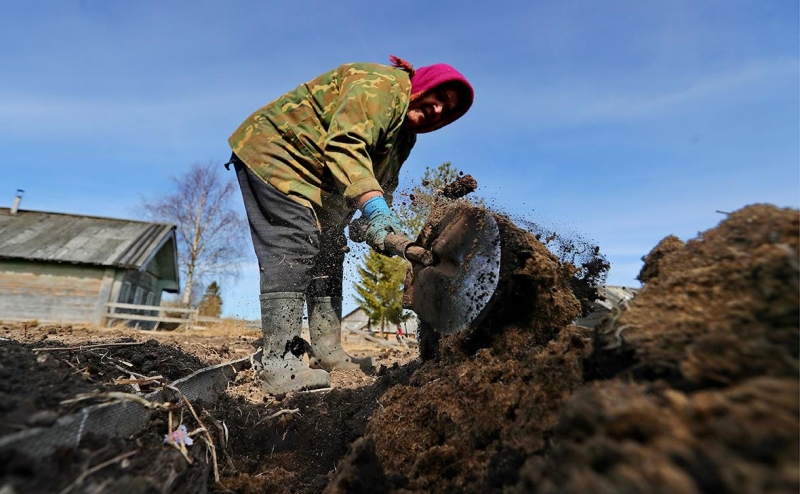 Юристы рассказали, как у дачников могут забрать