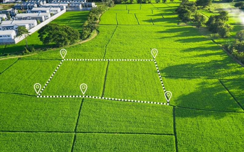 Юристы рассказали, как у дачников могут забрать