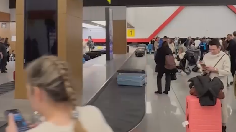 Юристы разъяснили права потерявших багаж из-за коллапса в Шереметьево