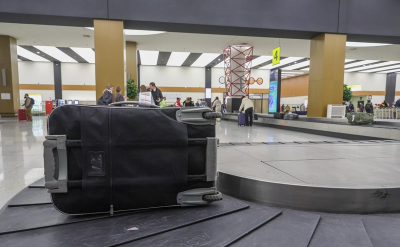 Юристы разъяснили права потерявших багаж из-за коллапса в Шереметьево