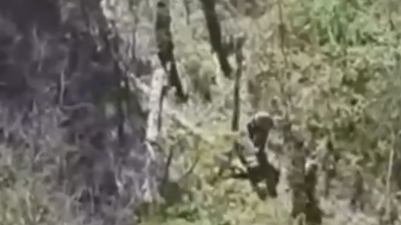 Кадыров сообщил о попытке группы ВСУ прорваться в Курскую область