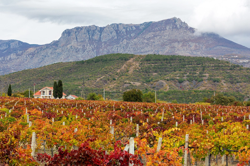 Кадыров сообщил о пострадавших при атаке дрона на центр Грозного