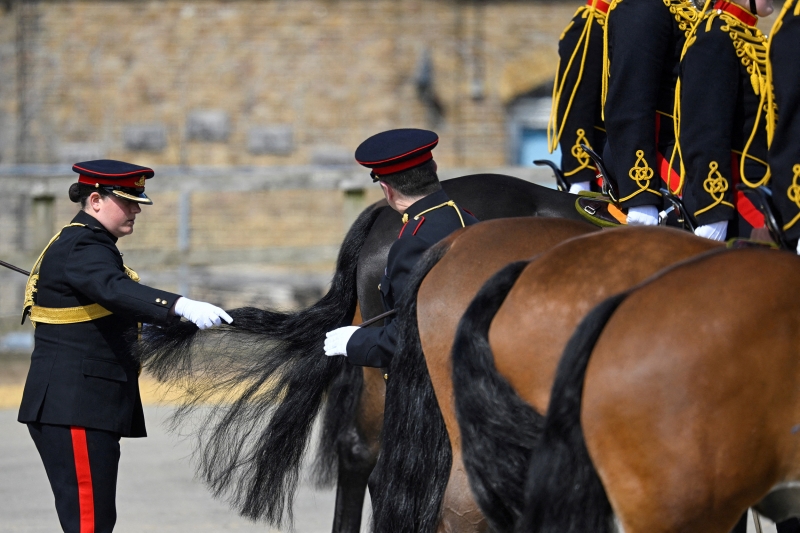Как идет подготовка к коронации Карла III. Фотогалерея