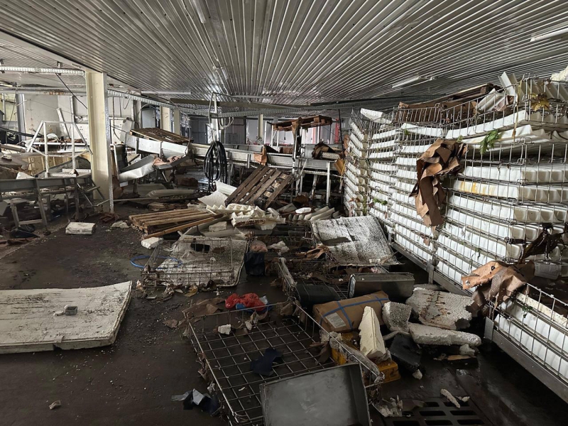 «Как по стиральной доске»: как Курилы пережили рекордное землетрясение