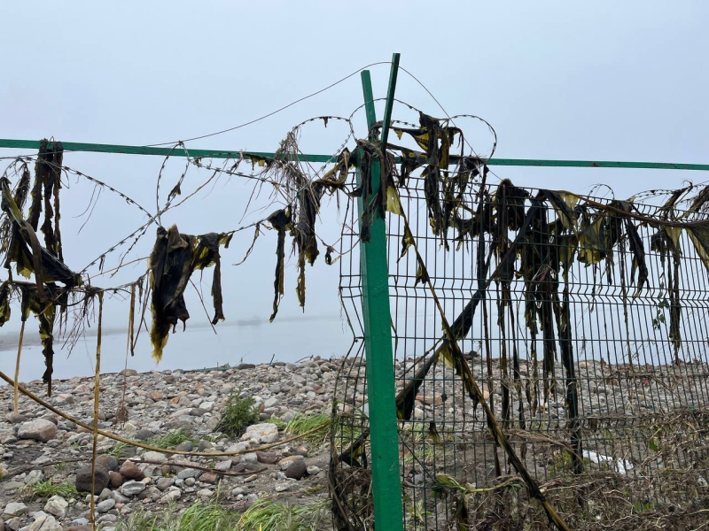 «Как по стиральной доске»: как Курилы пережили рекордное землетрясение