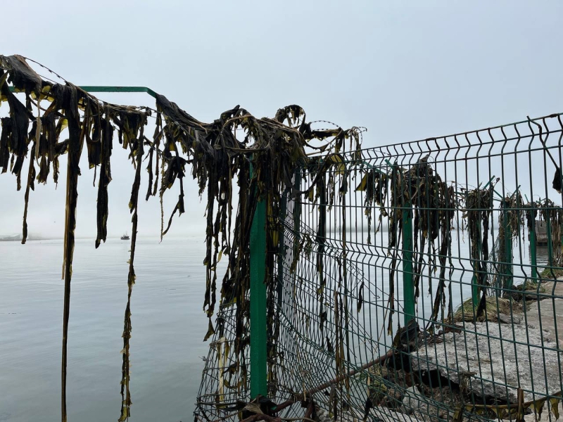 «Как по стиральной доске»: как Курилы пережили рекордное землетрясение