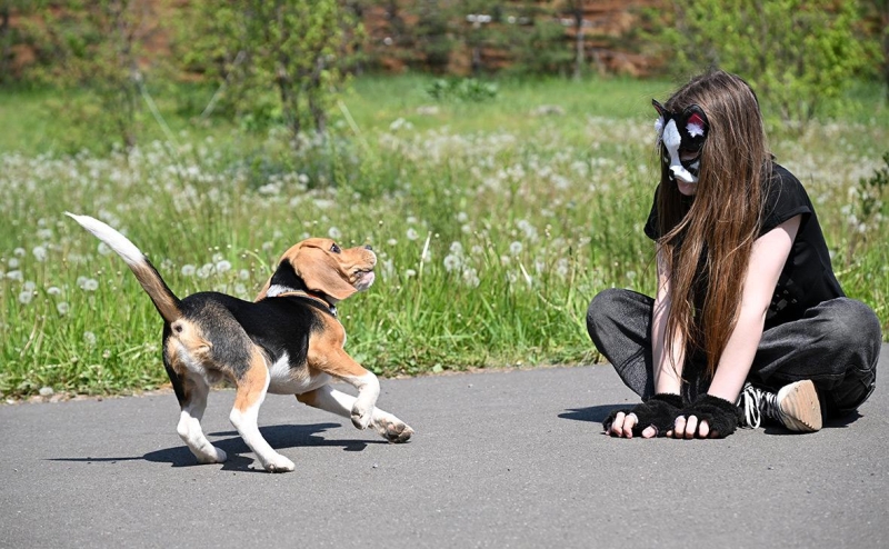Как, почему и зачем квадроберы стали &laquo;политтехнологическим случаем&raquo;
