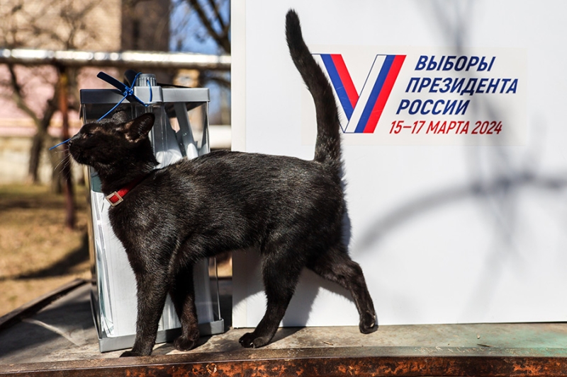 Как проходило досрочное голосование на выборах президента России