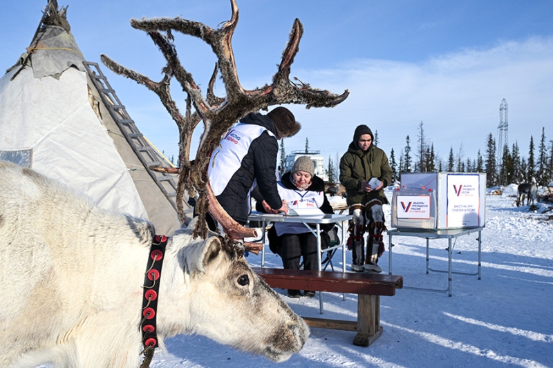 Как проходило досрочное голосование на выборах президента России