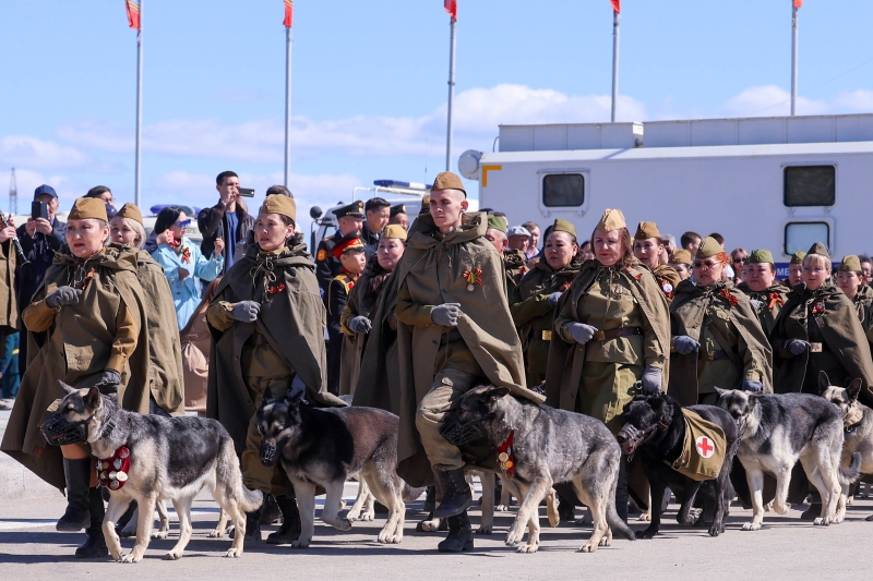Как прошли Парады Победы и акции «Бессмертный полк»в России
