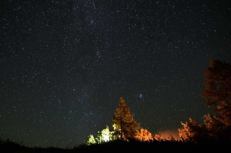 Как Путин и Шойгу отдохнули в Сибири. Фоторепортаж
