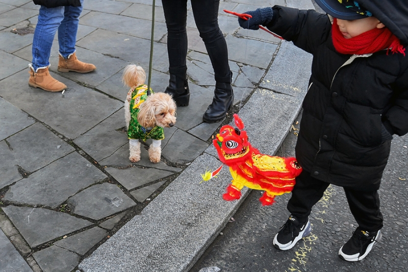 Как в мире встретили китайский Новый год. Фотогалерея