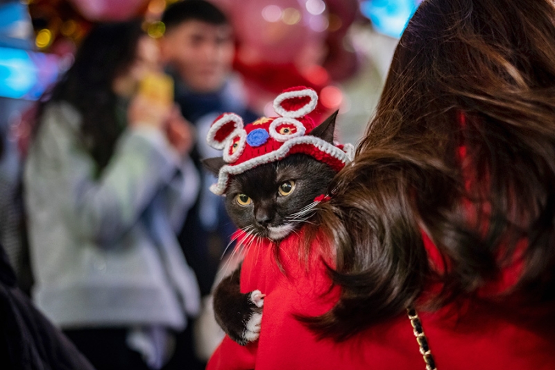 Как в мире встретили китайский Новый год. Фотогалерея
