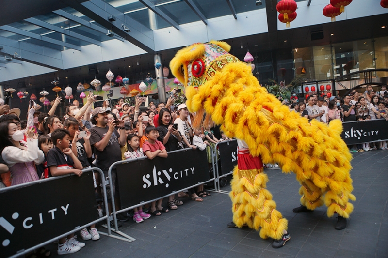 Как в мире встретили китайский Новый год. Фотогалерея
