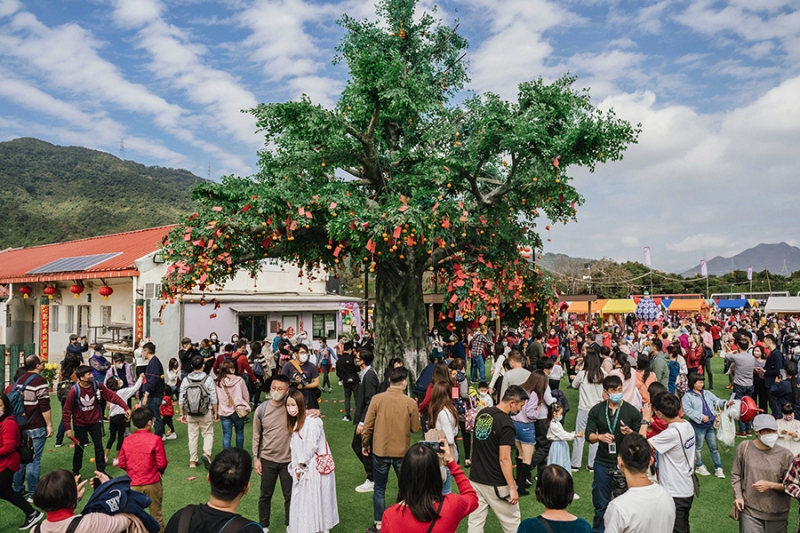 Как в мире встретили китайский Новый год. Фотогалерея