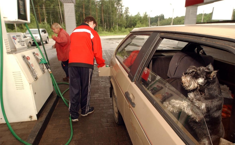 Как власти боролись со взлетом цен на топливо. Инфографика