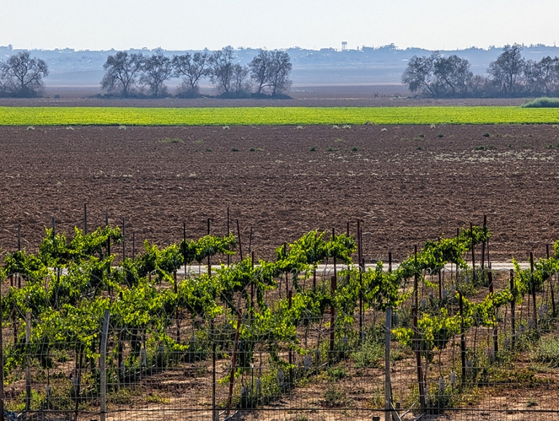 Как живет Израиль во время &laquo;войны на семи фронтах&raquo;