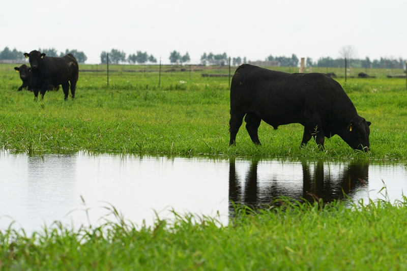 Как живут приграничная Брянская область и ее жители. Репортаж РБК