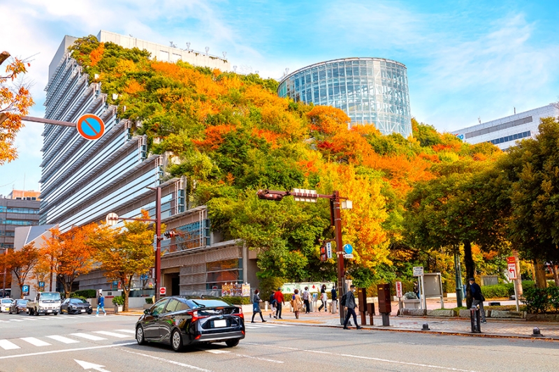 Какие японские города могли бомбить вместо Хиросимы и Нагасаки