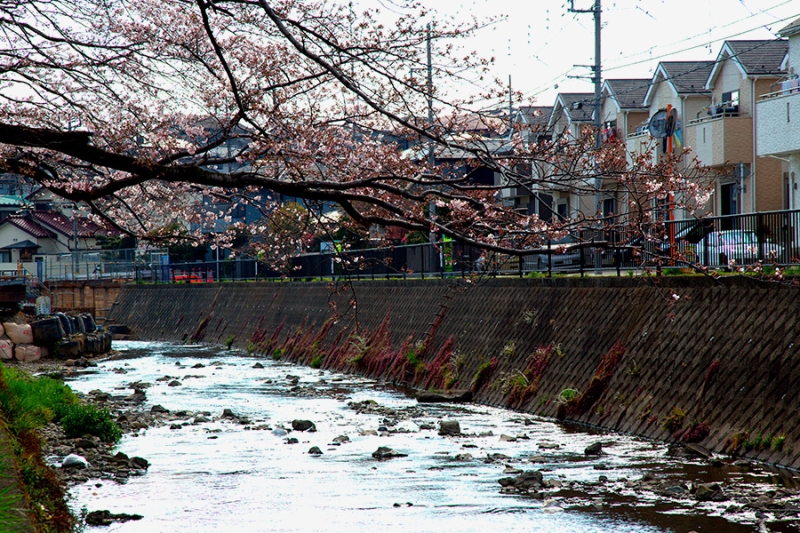 Какие японские города могли бомбить вместо Хиросимы и Нагасаки