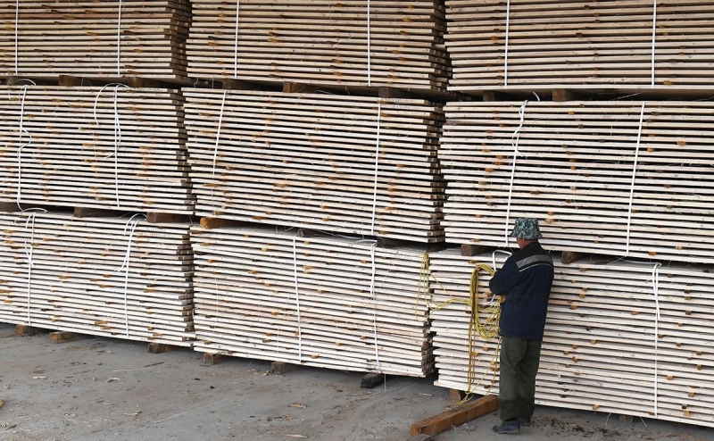 Какие страны обгоняют Китай по росту закупки досок из России