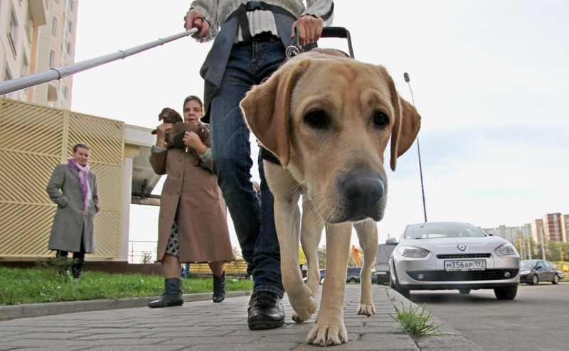 Какие выплаты проиндексировали на 9,5% с 1 февраля. Список