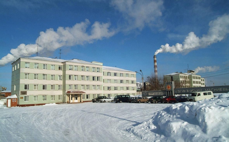 Кассация поддержала изъятие акций Соликамского завода у инвесторов