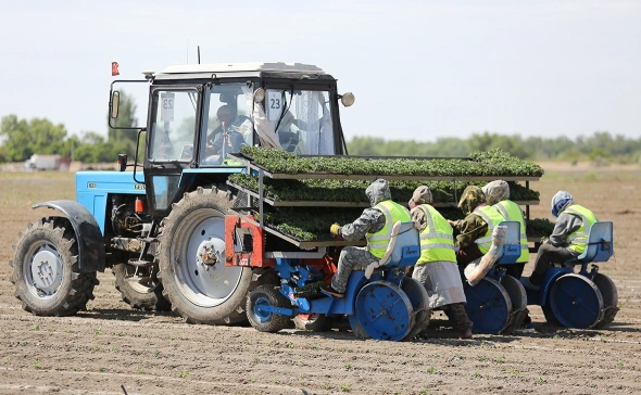 Казахстан ввел «золотую визу» с возможностью получения ВНЖ