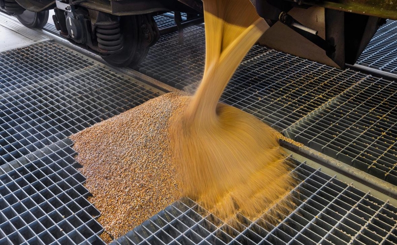 Киев обвинил Варшаву в нарушении соглашений из-за запрета на импорт