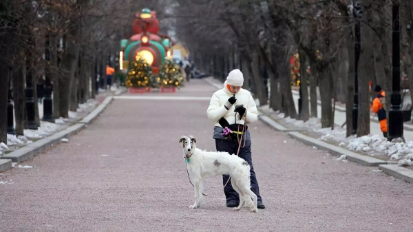 Киев ответил на сообщения о словах Буданова об угрозе Украине