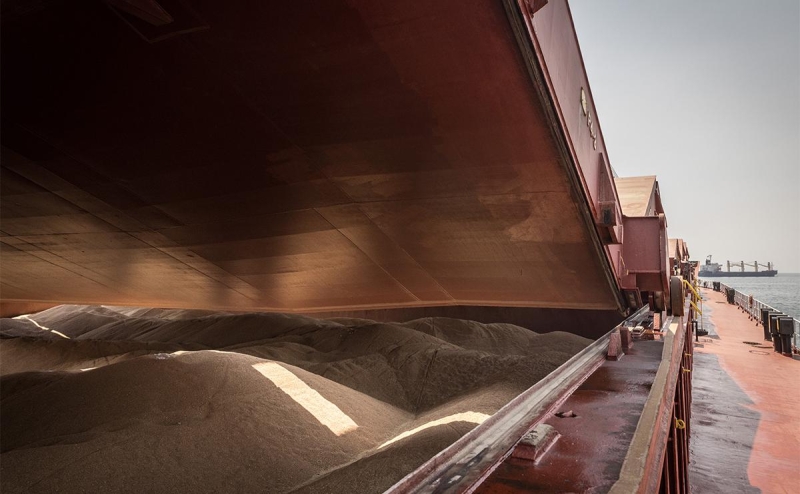 Киев решил отправлять зерно в Африку через порты на Дунае