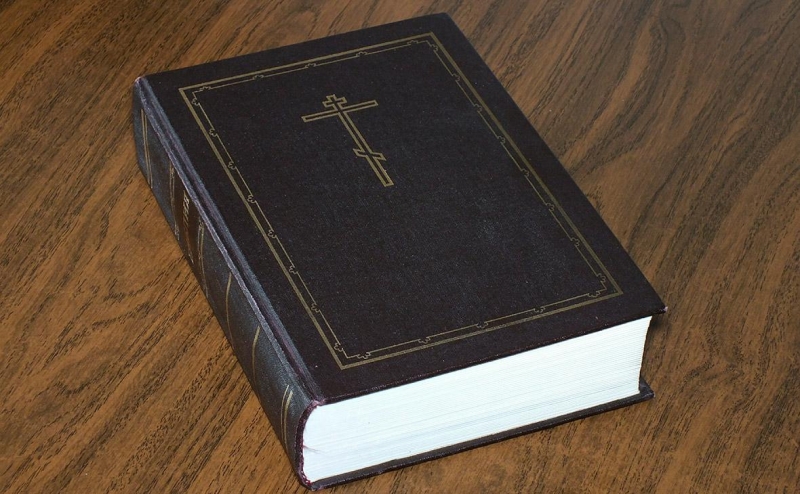 Кинг, Оруэлл и другие способы поберечь себя. Что читали россияне в