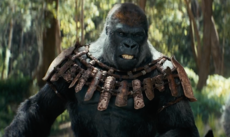 Киркоров приехал в ДНР