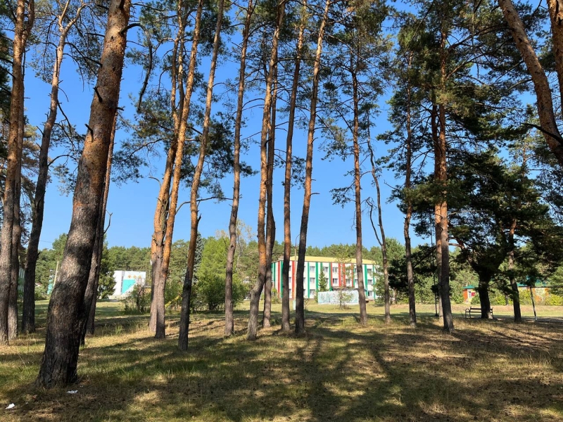 «Когда салют был — убежала»: как живут эвакуированные из Курской