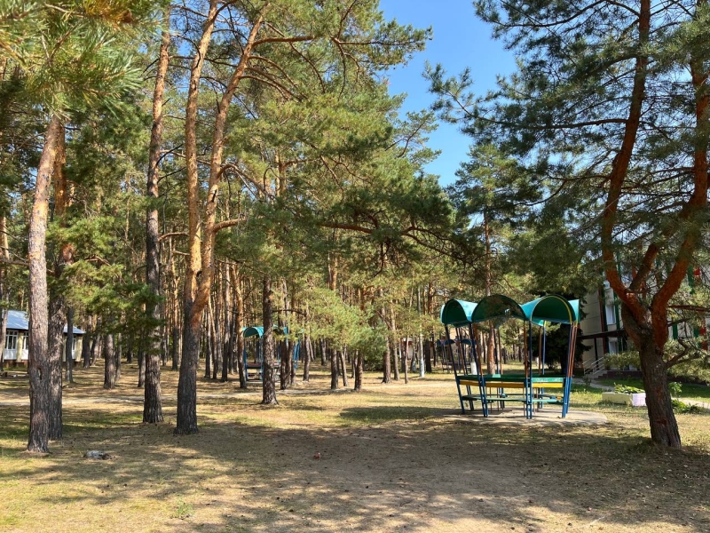 «Когда салют был — убежала»: как живут эвакуированные из Курской