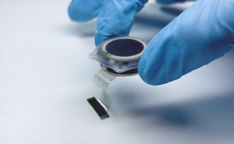 Количество диссертаций в России за год сократилось на 22%