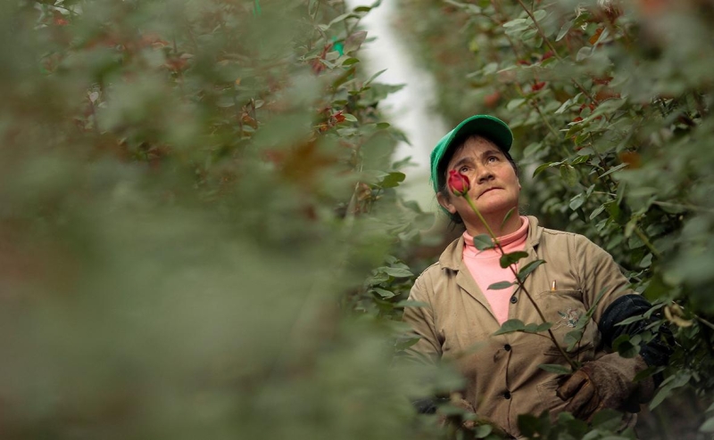 Колумбия выделила самолет президента для мигрантов после санкций