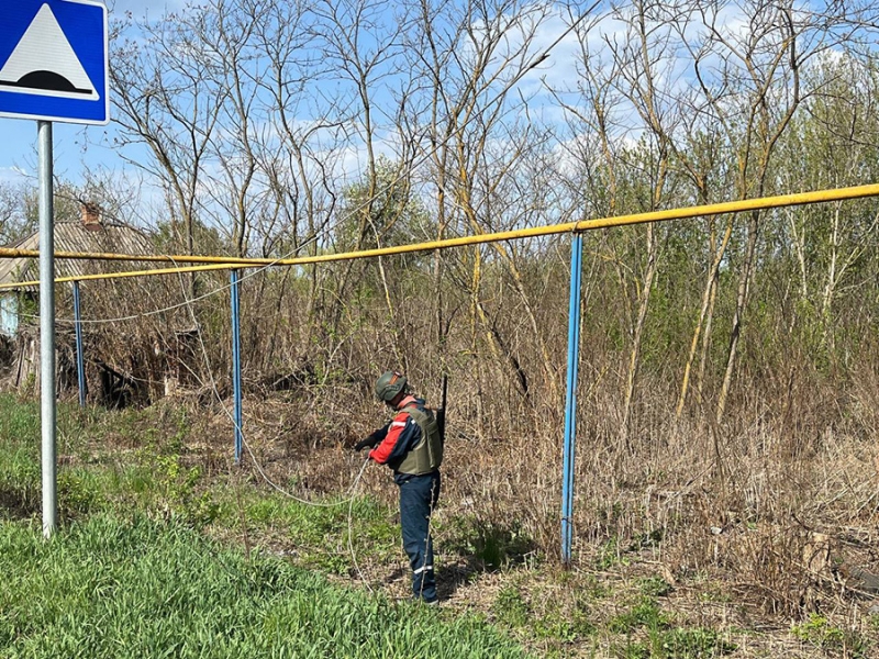 «Кому повезет, кому нет». Репортаж РБК из Грайворона под атаками