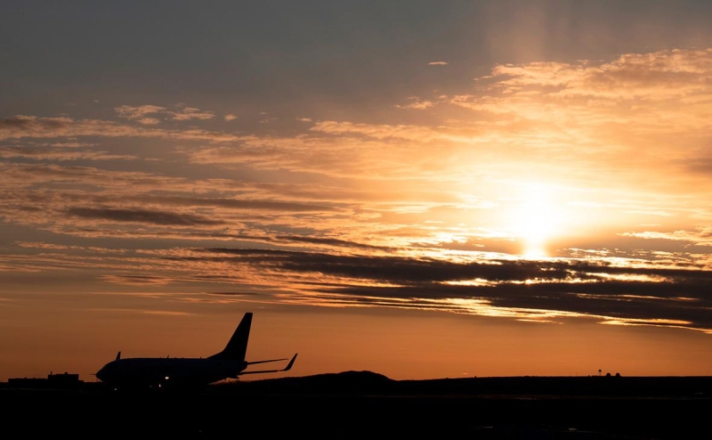 Кортеж с дипломатическими номерами Бразилии выехал из Внуково