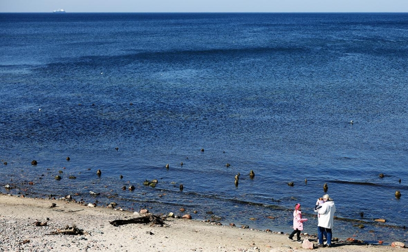 Кремль не увидел политики в идее уточнить границу на Балтике