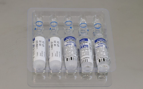 Кремль пообещал дать все сведения усомнившейся в &laquo;Спутнике V&raquo; Бразилии