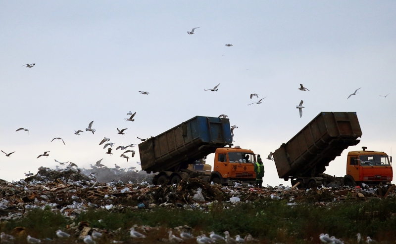 Крупнейший мусорный оператор Подмосковья обсудит передачу активов