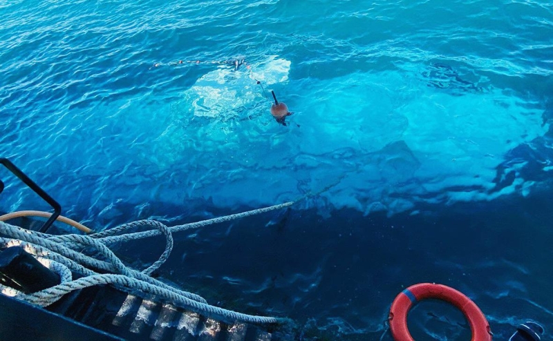 Крушение батискафа &laquo;Синдбад&raquo;: как организованы морские экскурсии в