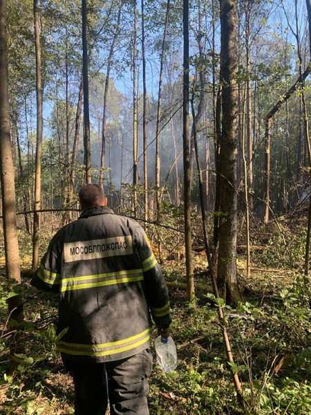 Крушение Superjet в Подмосковье. Главное